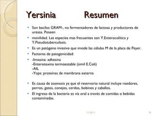 Yersinia  Resumen Son bacilos GRAM-, no fermentadores de lactosa y productores de ureasa. Poseen  movilidad. Las especies mas frecuentes son Y.Enterocolítica y Y.Pseudotuberculosis.  Es un patógeno invasivo que invade las células M de la placa de Peyer.  Factores de patogenicidad:  -Invasina: adhesina -Enterotoxina termoestable (simil E.Coli) -AIL -Yops: proteínas de membrana externa Es causa de zoonosis ya que el reservorio natural incluye roedores, perros, gatos, conejos, cerdos, bobinos y caballos.  El ingreso de la bacteria es vía oral a través de comidas o bebidas contaminadas.  11/20/11 