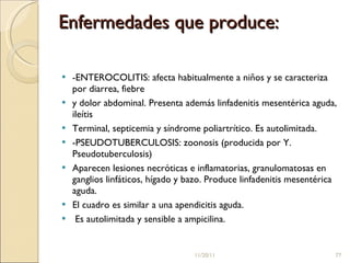 Enfermedades que produce:  -ENTEROCOLITIS: afecta habitualmente a niños y se caracteriza por diarrea, fiebre  y dolor abdominal. Presenta además linfadenitis mesentérica aguda, ileítis  Terminal, septicemia y síndrome poliartrítico. Es autolimitada.  -PSEUDOTUBERCULOSIS: zoonosis (producida por Y. Pseudotuberculosis)  Aparecen lesiones necróticas e inflamatorias, granulomatosas en ganglios linfáticos, hígado y bazo. Produce linfadenitis mesentérica aguda.  El cuadro es similar a una apendicitis aguda. Es autolimitada y sensible a ampicilina.  11/20/11 
