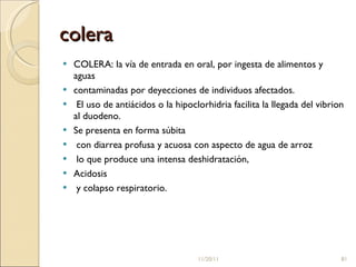 colera COLERA: la vía de entrada en oral, por ingesta de alimentos y aguas  contaminadas por deyecciones de individuos afectados. El uso de antiácidos o la hipoclorhidria facilita la llegada del vibrion al duodeno.  Se presenta en forma súbita  con diarrea profusa y acuosa con aspecto de agua de arroz lo que produce una intensa deshidratación, Acidosis y colapso respiratorio.  11/20/11 