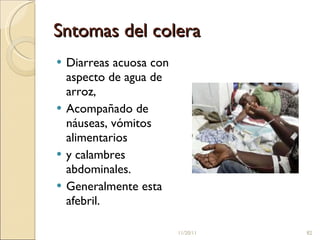 Sntomas del colera  Diarreas acuosa con aspecto de agua de arroz, Acompañado de náuseas, vómitos alimentarios  y calambres abdominales.  Generalmente esta afebril.  11/20/11 