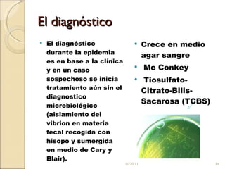 El diagnóstico El diagnóstico durante la epidemia es en base a la clínica y en un caso sospechoso se inicia tratamiento aún sin el diagnostico microbiológico (aislamiento del vibrion en materia fecal recogida con hisopo y sumergida en medio de Cary y Blair).  Crece en medio agar sangre Mc Conkey  Tiosulfato-Citrato-Bilis-Sacarosa (TCBS) 11/20/11 