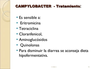 CAMPYLOBACTER  - Tratamiento :  Es sensible a: Eritromicina Tetraciclina Cloranfenicol, Aminoglucósidos  Quinolonas  Para disminuir la diarrea se aconseja dieta hipofermentativa.  11/20/11 