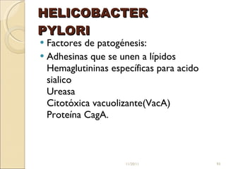 HELICOBACTER  PYLORI Factores de patogénesis:  Adhesinas que se unen a lípidos Hemaglutininas específicas para acido sialico Ureasa Citotóxica vacuolizante(VacA) Proteína CagA. 11/20/11 