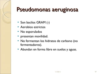 Pseudomonas aeruginosa Son bacilos GRAM (-) Aerobios estrictos No esporulados  presentan movilidad.  No fermentan los hidratos de carbono (no fermentadores).  Abundan en forma libre en suelos y aguas.  11/20/11 