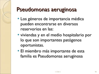 Pseudomonas aeruginosa Los géneros de importancia médica pueden encontrarse en diversos reservorios en las:  viviendas y en el medio hospitalario por lo que son importantes patógenos oportunistas.  El miembro más importante de esta familia es Pseudomonas aeruginosa  11/20/11 