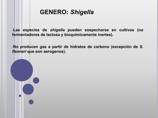 GENERO: Shigella

•Las especies de shigella pueden sospecharse en cultivos (no
fermentadores de lactosa y bioquímicamente inertes).


•No producen gas a partir de hidratos de carbono (excepción de S.
flexneri que son aerogenos).
 