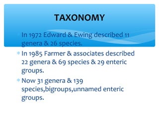 ∗ In 1972 Edward & Ewing described 11
genera & 26 species.
∗ In 1985 Farmer & associates described
22 genera & 69 species & 29 enteric
groups.
∗ Now 31 genera & 139
species,bigroups,unnamed enteric
groups.
TAXONOMY
 