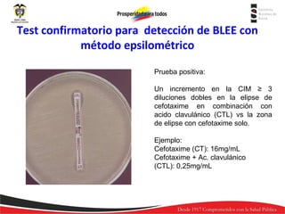 Test confirmatorio para detección de BLEE con
método epsilométrico
Prueba positiva:
Un incremento en la CIM ≥ 3
diluciones dobles en la elipse de
cefotaxime en combinación con
acido clavulánico (CTL) vs la zona
de elipse con cefotaxime solo.
Ejemplo:
Cefotaxime (CT): 16mg/mL
Cefotaxime + Ac. clavulánico
(CTL): 0,25mg/mL

 