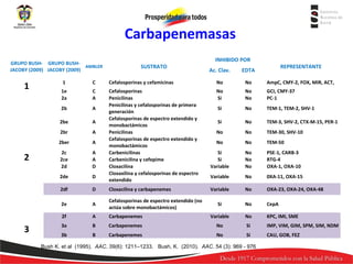 Carbapenemasas
GRUPO BUSH- GRUPO BUSHAMBLER
JACOBY (2009) JACOBY (2009)

SUSTRATO

INHIBIDO POR
Ac. Clav.

REPRESENTANTE

EDTA

C

Cefalosporinas y cefamicinas

No

No

AmpC, CMY-2, FOX, MIR, ACT,

1e
2a

C
A

No
No

GCI, CMY-37
PC-1

A

Si

No

TEM-1, TEM-2, SHV-1

A

Si

No

TEM-3, SHV-2, CTX-M-15, PER-1

2br

A

No

No

TEM-30, SHV-10

2ber

A

No

No

TEM-50

2c
2ce
2d

A
A
D

Si
Si
Variable

No
No
No

PSE-1, CARB-3
RTG-4
OXA-1, OXA-10

2de

D

Cefalosporinas
Penicilinas
Penicilinas y cefalosporinas de primera
generación
Cefalosporinas de espectro extendido y
monobactámicos
Penicilinas
Cefalosporinas de espectro extendido y
monobactámicos
Carbenicilinas
Carbenicilina y cefepime
Cloxacilina
Cloxaxilina y cefalosporinas de espectro
extendido

No
Si

2be

Variable

No

0XA-11, OXA-15

2df

D

Cloxacilina y carbapenemes

Variable

No

OXA-23, OXA-24, OXA-48

2e

2

1

2b

1

A

Cefalosporinas de espectro extendido (no
actúa sobre monobactámicos)

Si

No

CepA

Variable

No

KPC, IMI, SME

Carbapenemes
Bush, K. 2f
(2010). A AAC. 54 (3): 969 - 976

3

3a

B

Carbapenemes

No

Si

IMP, VIM, GIM, SPM, SIM, NDM

3b

B

Carbapenemes

No

Si

CAU, GOB, FEZ

Bush K. et al (1995). AAC. 39(6): 1211–1233. Bush, K. (2010). AAC. 54 (3): 969 - 976

 