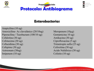 Protocolos Antibiograma
Enterobacterias
Ampicilina (10 ug)
Ampicilina (10 ug)
Amoxicilina- Ac clavulánico (20/10ug)
Amoxicilina- Ac clavulánico (20/10ug)
Piperacilina //Tazobactam (100/10 ug)
Piperacilina Tazobactam (100/10 ug)
Cefalotina (30 ug)
Cefalotina (30 ug)
Cefotaxima (30 ug)
Cefotaxima (30 ug)
Ceftazidima (30 ug)
Ceftazidima (30 ug)
Cefepime (30 µg)
Cefepime (30 µg)
Aztreonam (30ug)
Aztreonam (30ug)
Imipenem (10 ug)
Imipenem (10 ug)

Meropenem (10µg)
Meropenem (10µg)
Gentamicina 10 ug)
Gentamicina 10 ug)
Amikacina (30 ug)
Amikacina (30 ug)
Ciprofloxacina (5 ug)
Ciprofloxacina (5 ug)
Trimetropin sulfa (25 ug)
Trimetropin sulfa (25 ug)
Cefoxitina (30 ug)
Cefoxitina (30 ug)
Acido Nalidíxico (30 ug)
Acido Nalidíxico (30 ug)
Colistin (10 ug)
Colistin (10 ug)

 