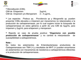  Microdilución (CIM):
CIM de Ertapenem
CIM de Imipenem y/o Meropenem

2µg/mL
2 – 4 µg/mL.

 Las especies Proteus sp, Providencia sp y Morganella sp, pueden
presentar CIMs elevados a imipenem por mecanismos no relacionados a la
producción de carbapenemasas, por lo cual sugiere iniciar la búsqueda de
carbapenemasas en estos géneros a partir de una CIM de 4µg/mL para
imipenem y 2µg/mL para ertapenem y meropenem
 Reporte en caso de prueba positiva: “Organismo con posible
producción de carbapenemasas” y no cambie la interpretación de
susceptibilidad a carbapenémicos.
Nota :
No todos los aislamientos de Enterobacteriacea productores de
Carbapenemasas son TMH (+) y resultados de MHT (+) pueden encontrarse
en aislamientos con mecanismos de resistencia a carbapenémicos diferentes
a la producción de carbapenemasas .

 