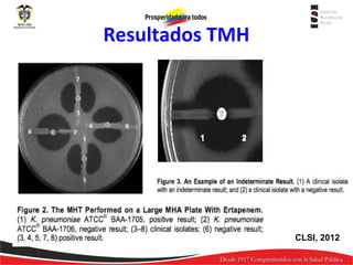 Resultados TMH

CLSI, 2012

 