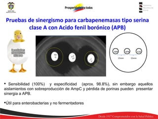 Pruebas de sinergismo para carbapenemasas tipo serina
clase A con Acido fenil borónico (APB)

IMP
15mm

APB

CAZ
15mm

 Sensibilidad (100%) y especificidad (aprox. 98.8%), sin embargo aquellos
aislamientos con sobreproducción de AmpC y pérdida de porinas pueden presentar
sinergia a APB.
Útil para enterobacterias y no fermentadores

 