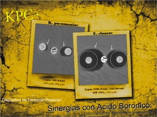 K. pneumon
iae
E. cloacae

APB

g
300 µ

APB

300 µ
g

Diapositiva de Fernando Pasteran

o oro o:
ergias conciaAcidajustaBs (centrnaicntro)
Sin
o ce
da
optima
Distan

 