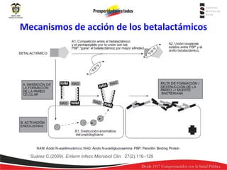 Mecanismos de acción de los betalactámicos

Suárez C.(2009). Enferm Infecc Microbiol Clin. 27(2):116–129

 