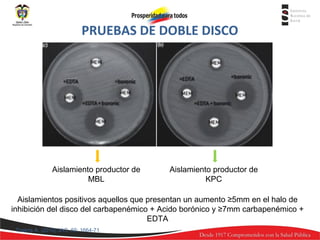 PRUEBAS DE DOBLE DISCO

Aislamiento productor de
MBL

Aislamiento productor de
KPC

Aislamientos positivos aquellos que presentan un aumento ≥5mm en el halo de
inhibición del disco del carbapenémico + Acido borónico y ≥7mm carbapenémico +
EDTA
Tsakris A. (2010) JAC. 65: 1664-71

 