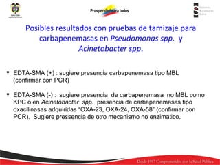 Posibles resultados con pruebas de tamizaje para
carbapenemasas en Pseudomonas spp. y
Acinetobacter spp.
 EDTA-SMA (+) : sugiere presencia carbapenemasa tipo MBL
(confirmar con PCR)
 EDTA-SMA (-) : sugiere presencia de carbapenemasa no MBL como
KPC o en Acinetobacter spp. presencia de carbapenemasas tipo
oxacilinasas adquiridas “OXA-23, OXA-24, OXA-58” (confirmar con
PCR). Sugiere pressencia de otro mecanismo no enzimatico.

 