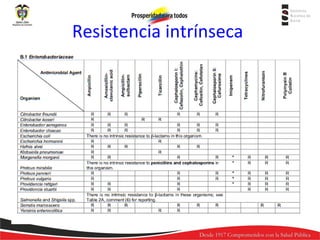 Resistencia intrínseca

 