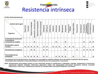 Resistencia intrínseca

 
