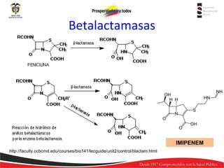 Betalactamasas

IMIPENEM
http://faculty.ccbcmd.edu/courses/bio141/lecguide/unit2/control/blactam.html

 