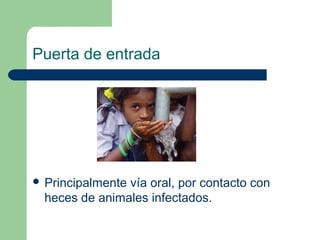 Puerta de entrada




 Principalmentevía oral, por contacto con
  heces de animales infectados.
 