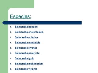 Especies:
1.   Salmonella bongori

2.   Salmonella choleraesuis

3.   Salmonella enterica

4.   Salmonella enteritidis

5.   Salmonella Nyanza

6.   Salmonella paratyphi

7.   Salmonella typhi

8.   Salmonella typhimurium

9.   Salmonella virginia
 