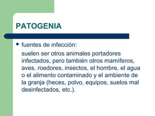 PATOGENIA

 fuentes  de infección:
  suelen ser otros animales portadores
  infectados, pero también otros mamíferos,
  aves, roedores, insectos, el hombre, el agua
  o el alimento contaminado y el ambiente de
  la granja (heces, polvo, equipos, suelos mal
  desinfectados, etc.).
 