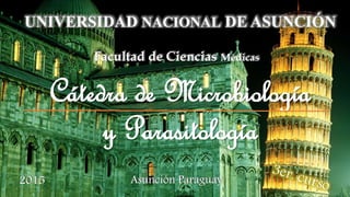 Facultad de Ciencias Médicas
Cátedra de Microbiología
y Parasitología
UNIVERSIDAD NACIONAL DE ASUNCIÓN
2015 Asunción Paraguay
 