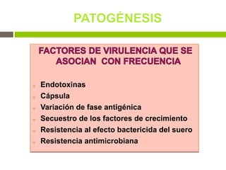 o Endotoxinas
o Cápsula
o Variación de fase antigénica
o Secuestro de los factores de crecimiento
o Resistencia al efecto bactericida del suero
o Resistencia antimicrobiana
 