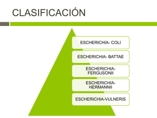 CLASIFICACIÓN
ESCHERICHIA- COLI
ESCHERICHIA- BATTAE
ESCHERICHIA-
FERGUSONII
ESCHERICHIA-
HERMANNII
ESCHERICHIA-VULNERIS
 
