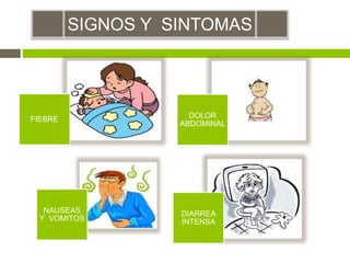 SIGNOS Y SINTOMAS
FIEBRE DOLOR
ABDOMINAL
NAUSEAS
Y VOMITOS
DIARREA
INTENSA
 