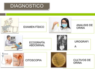 EXAMEN FÍSICO
ANALISIS DE
ORINA
ECOGRAFÍA
ABDOMINAL
UROGRAFI
A
CITOSCOPIA CULTIVOS DE
ORINA
DIAGNOSTICO
 