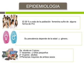 EPIDEMIOLOGIA
El 20 % o más de la población femenina sufre de alguna
forma de ITU
Su prevalencia depende de la edad y género.
Se divide en 3 picos :
1° lactantes y niños pequeños
2° mujeres adultas
3°Personas mayores de ambos sexos
 