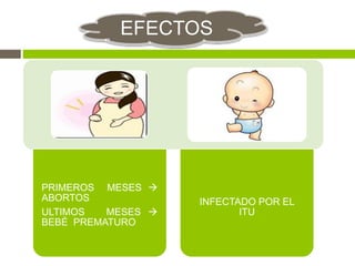 PRIMEROS MESES 
ABORTOS
ULTIMOS MESES 
BEBÉ PREMATURO
INFECTADO POR EL
ITU
EFECTOS
 