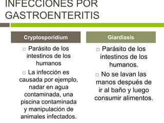  Parásito de los
intestinos de los
humanos
 La infección es
causada por ejemplo,
nadar en agua
contaminada, una
piscina contaminada
y manipulación de
animales infectados.
 Parásito de los
intestinos de los
humanos.
 No se lavan las
manos después de
ir al baño y luego
consumir alimentos.
Cryptosporidium Giardiasis
INFECCIONES POR
GASTROENTERITIS
 