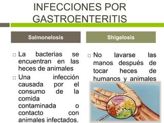 INFECCIONES POR
GASTROENTERITIS
 La bacterias se
encuentran en las
heces de animales
 Una infección
causada por el
consumo de la
comida
contaminada o
contacto con
animales infectados.
 No lavarse las
manos después de
tocar heces de
humanos y animales
contaminados.
Salmonelosis Shigelosis
 
