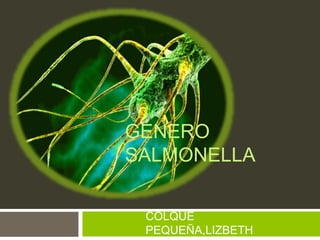 GÉNERO
SALMONELLA
COLQUE
PEQUEÑA,LIZBETH
 