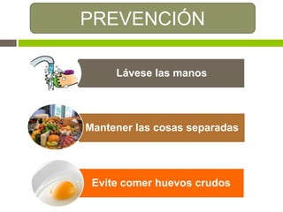 PREVENCIÓN
Lávese las manos
Mantener las cosas separadas
Evite comer huevos crudos
 