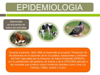 EPIDEMIOLOGIA
Salmonella
se encuentra se
todos los animales
Durante el periodo 1993-1995 se desarrolló el proyecto "Protección de
los alimentos en el expendio de la vía pública, restaurantes y similares
del Perú" ejecutado por la Dirección de Salud Ambiental (DIGESA),
con la contribución del gobierno de Suecia y de la OPS/OMS,aplicado a
las ciudades que tuvieron mayor incidencia decólera como Lima (La
Victoria), Callao, Iquitos y Cusco
 