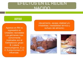 EFECTOS EN EL RECIEN
NACIDO
SEPSIS
Aparece en RN no
ingresados en
Unidades neonatales
Los gérmenes mas
comúnmente
implicados son el
Estreptococo grupo
B, Listeria
monocytogenes, E.co
li, S.pneumoniae y H.
influenzae.
(decaimiento, escasa vitalidad y/o
irritabilidad, inestabilidad térmica y
rechazo del alimento)
 