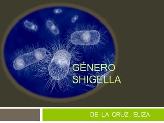 GÉNERO
SHIGELLA
DE LA CRUZ , ELIZA
 