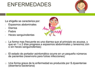 ENFERMEDADES
La shigella se caracteriza por:
• Espasmos abdominales
• Diarrea
• Fiebre
• Heces sanguinolentas
 La forma mas frecuente es una diarrea que al principio es acuosa, y
que en 1 o 2 días progresa a espasmos abdominales y tenesmo( con
o sin heces sanguinolentas)
 El estado de portador asintomático ocurre en un pequeño números
de pacientes (reservorio para futras infecciones)
 Una forma grave de la enfermedad es producida por S.dysenteriae
(disentería bacteriana)
 