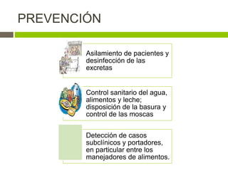 PREVENCIÓN
Asilamiento de pacientes y
desinfección de las
excretas
Control sanitario del agua,
alimentos y leche;
disposición de la basura y
control de las moscas
Detección de casos
subclínicos y portadores,
en particular entre los
manejadores de alimentos.
 