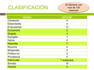 CLASIFICACIÓN
32 Géneros con
mas de 130
especies
GÉNERO ESPECIES
Citrobacter 4
Edwardsiella 4
Enterobactter 13
Escherichia 5
Shigella 4
Ewingella 1
Hafnia 2
Klebsiella 7
Kluyvera 2
Marganella 2
Proteus (n) 4
Providencia 5
Salmonella 7 subgrupos
Serratia 10
Yersinia 11
 
