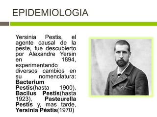 EPIDEMIOLOGIA
Yersinia Pestis, el
agente causal de la
peste, fue descubierto
por Alexandre Yersin
en 1894,
experimentando
diversos cambios en
su nomenclatura:
Bacterium
Pestis(hasta 1900),
Bacilus Pestis(hasta
1923), Pasteurella
Pestis y, mas tarde,
Yersinia Péstis(1970)
 