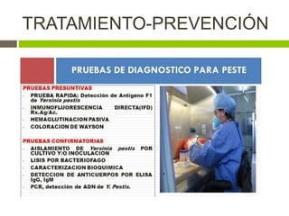 TRATAMIENTO-PREVENCIÓN
 