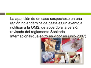 La aparición de un caso sospechoso en una
región no endémica de peste es un evento a
notificar a la OMS, de acuerdo a la versión
revisada del reglamento Sanitario
Internacional(que entro en vigor en junio 2007)
 
