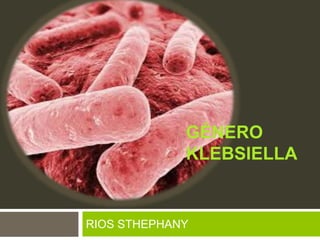 GÉNERO
KLEBSIELLA
RIOS STHEPHANY
 