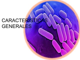 CARACTERISTICAS
GENERALES
 