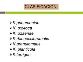 K.pneumoniae
K. oxytoca
K. ozaenae
K.rhinoescleromatis
K.granulomatis
K. planticola
K.terrigen
CLASIFICACIÓN
 